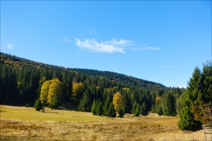 Herbst im Hochschwarzwald